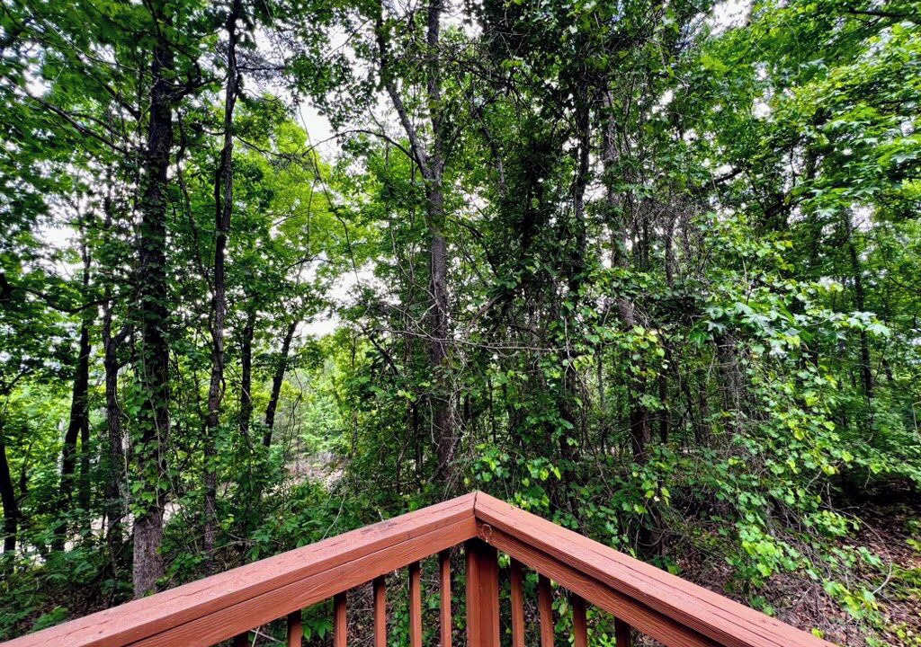 Photo of Outdoor in Pine Mountain