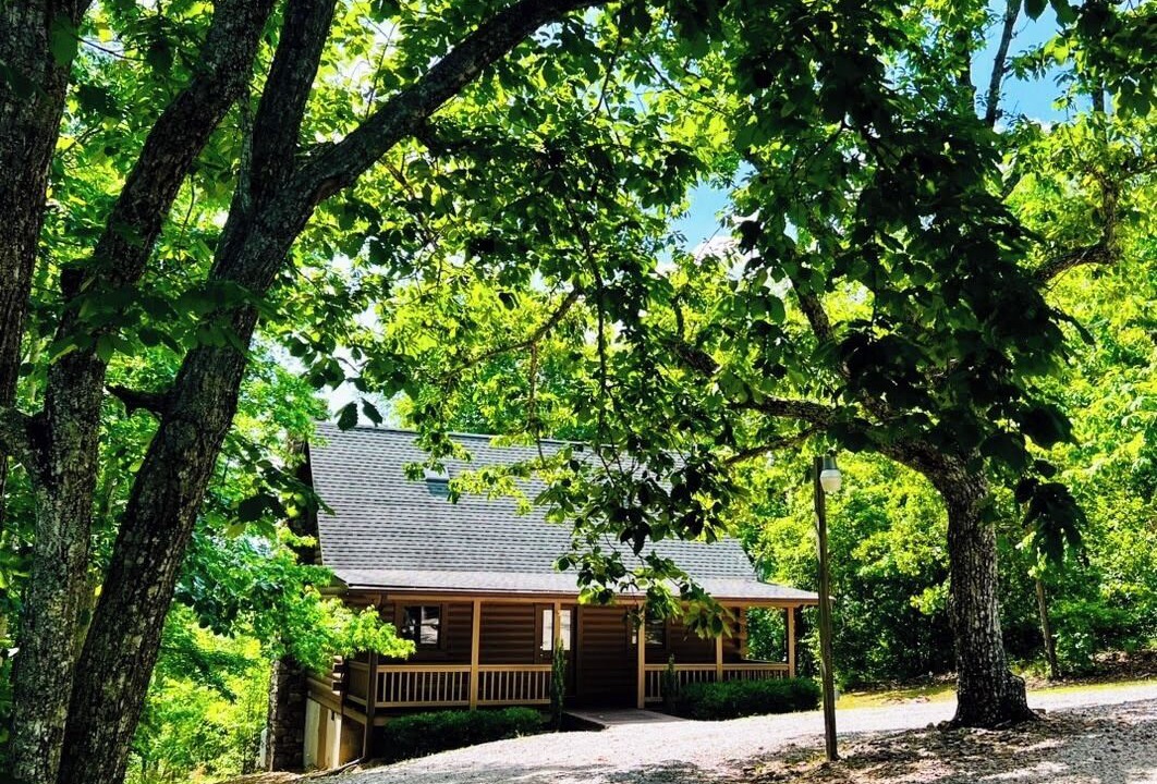 Photo of Outdoor in Pine Mountain