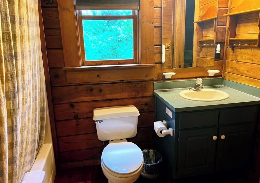 Photo of Bathroom in Pine Mountain