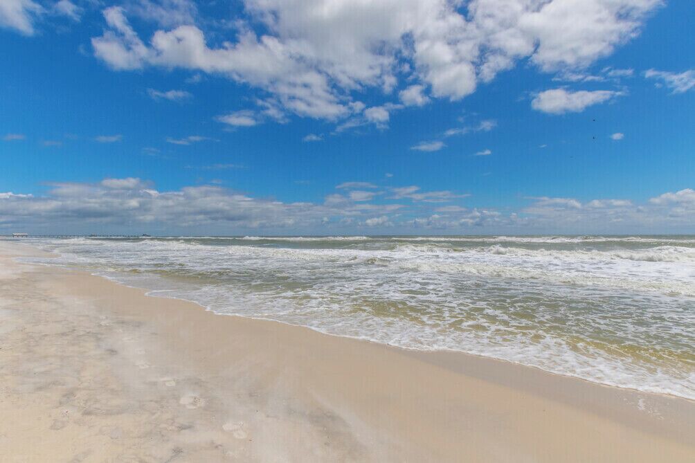 Photo of Others in Gulf Shores