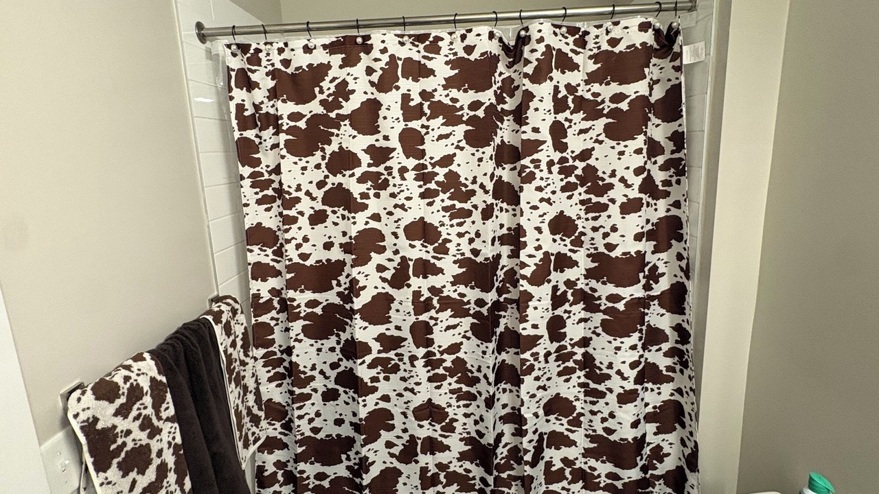 Photo of Bathroom in Chosewood Park