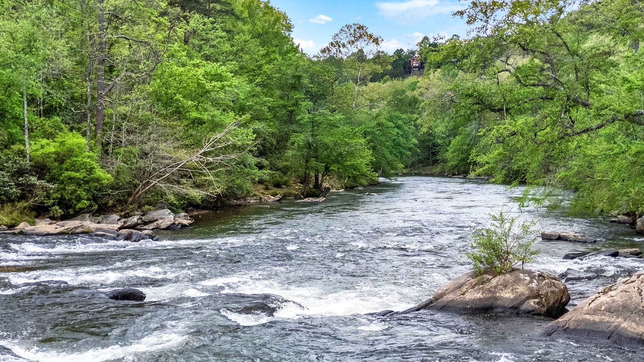 Photo of Others in Ellijay