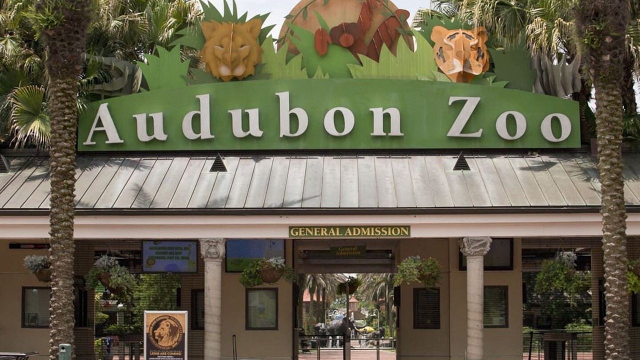 Photo of Others in Audubon