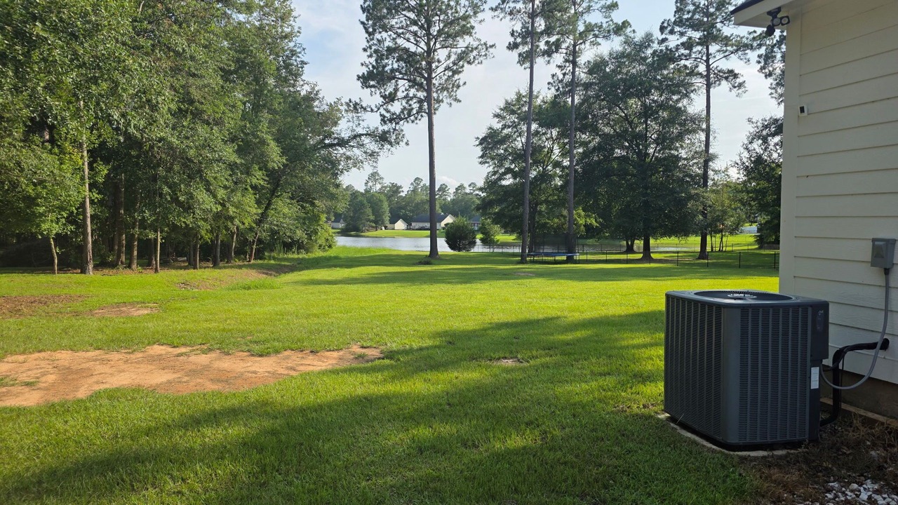 Photo of Outdoor in Albany