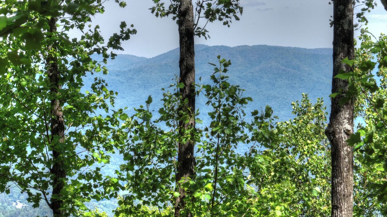 Photo of Others in Walnut Mountain