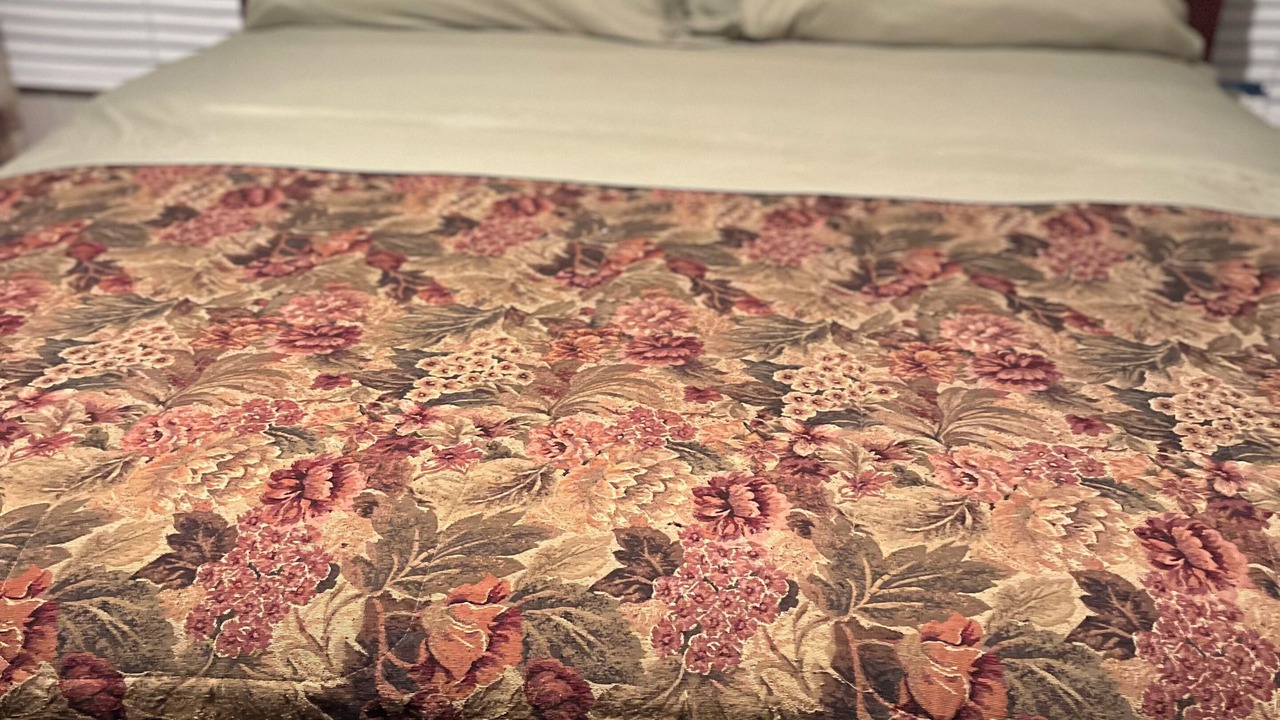 Photo of Bedroom in Jachin