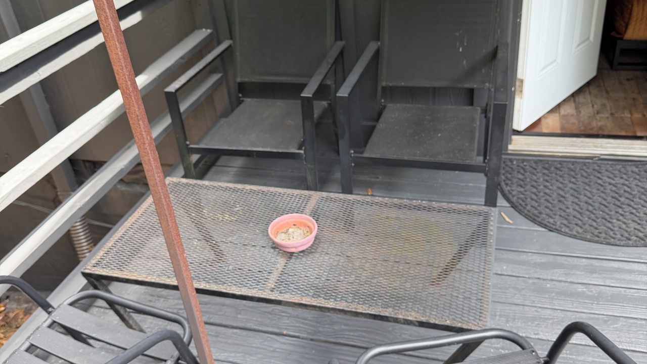 Photo of Patio Balcony in South Atlanta