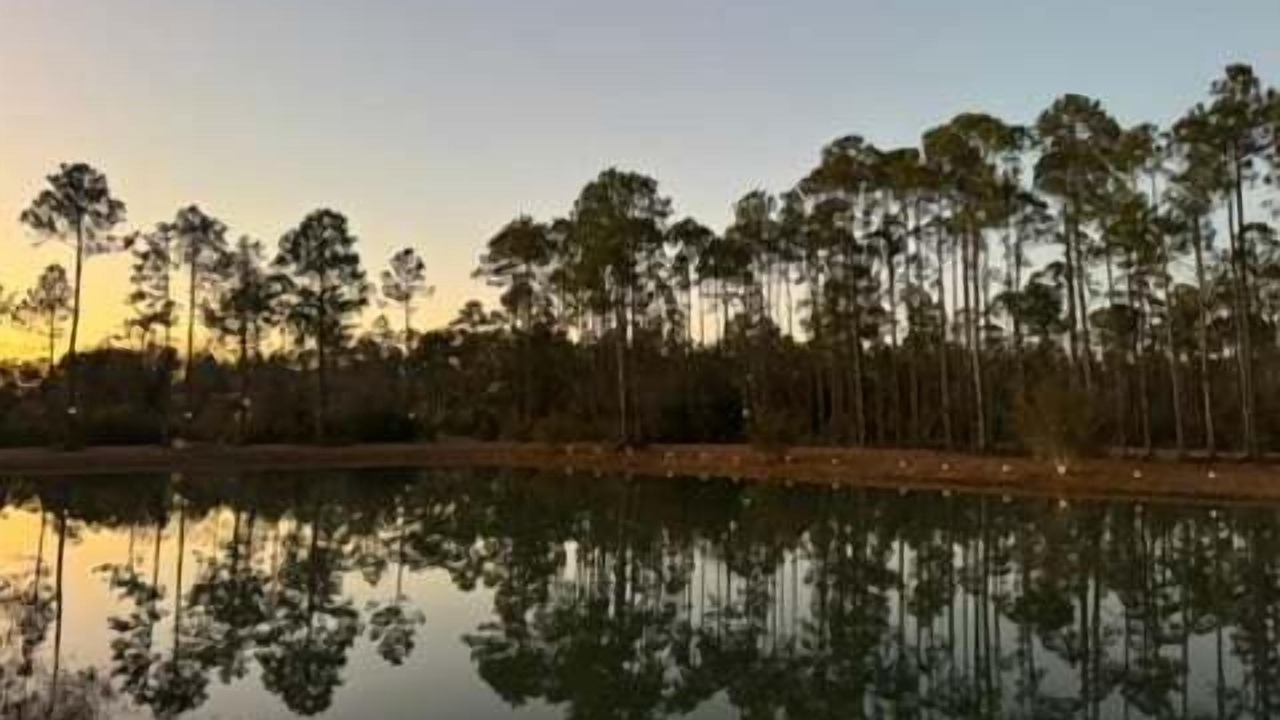 Photo of Others in Gulf Shores
