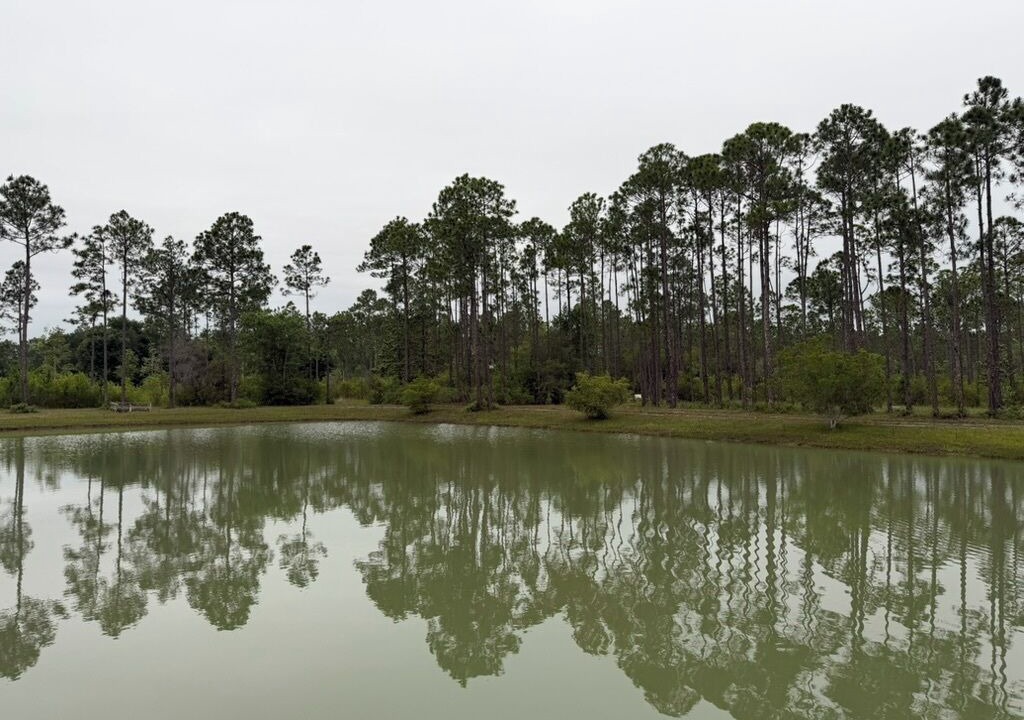 Photo of Others in Gulf Shores