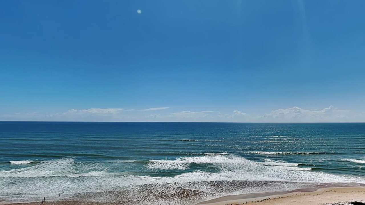 Photo of Others in Ormond-by-the-Sea