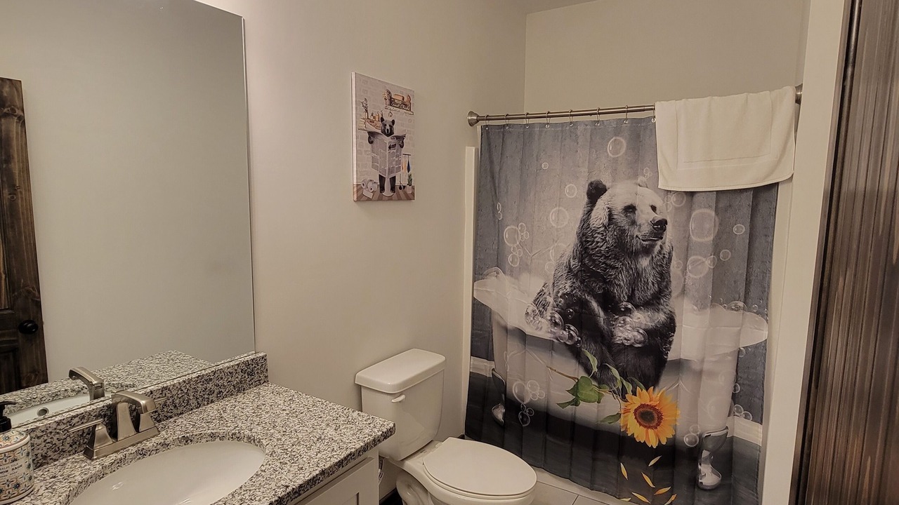 Photo of Bathroom in Ellijay