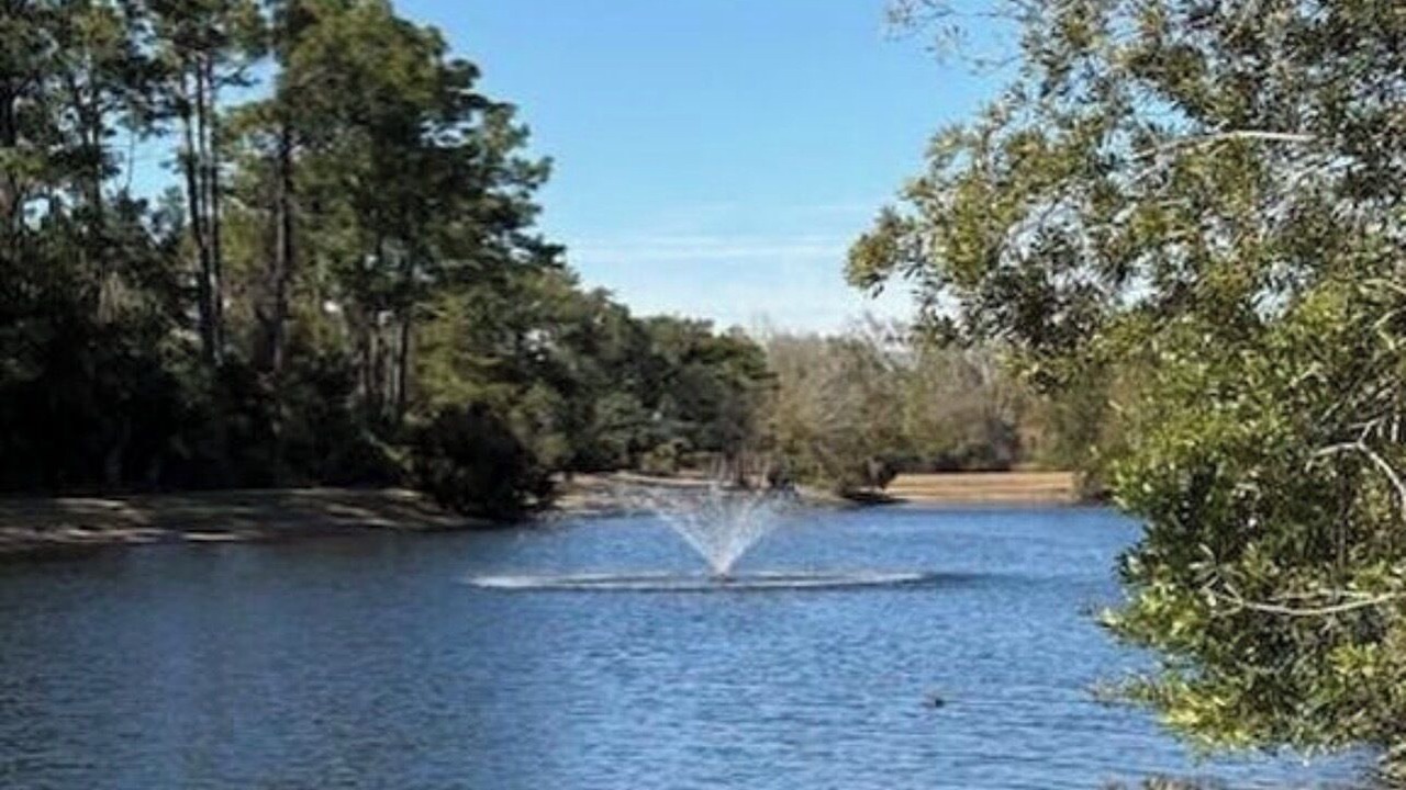 Photo of Others in Saint Augustine Shores