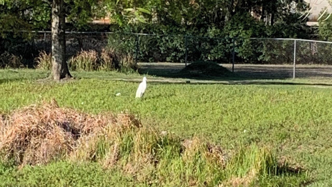 Photo of Others in Grand Park