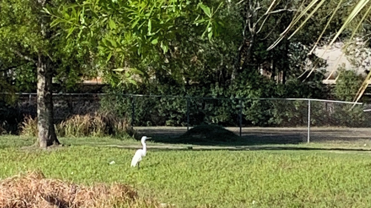 Photo of Outdoor in Grand Park