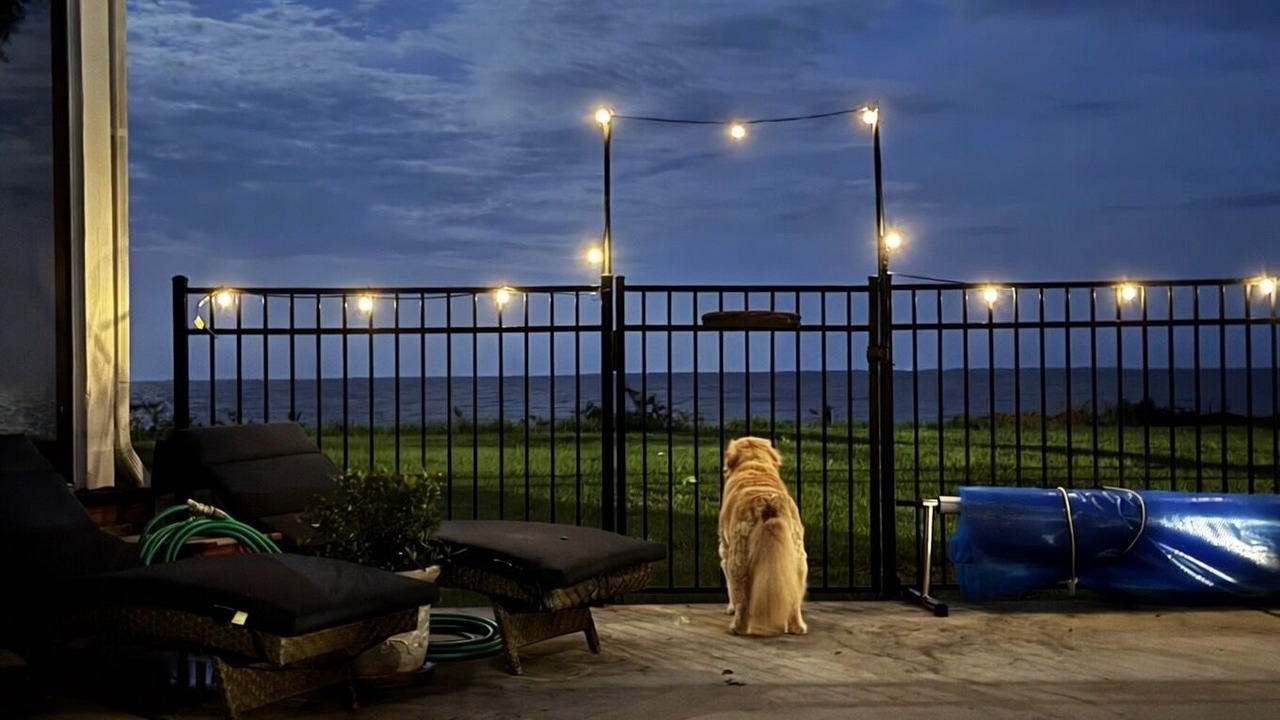 Photo of Outdoor in Ocean Springs