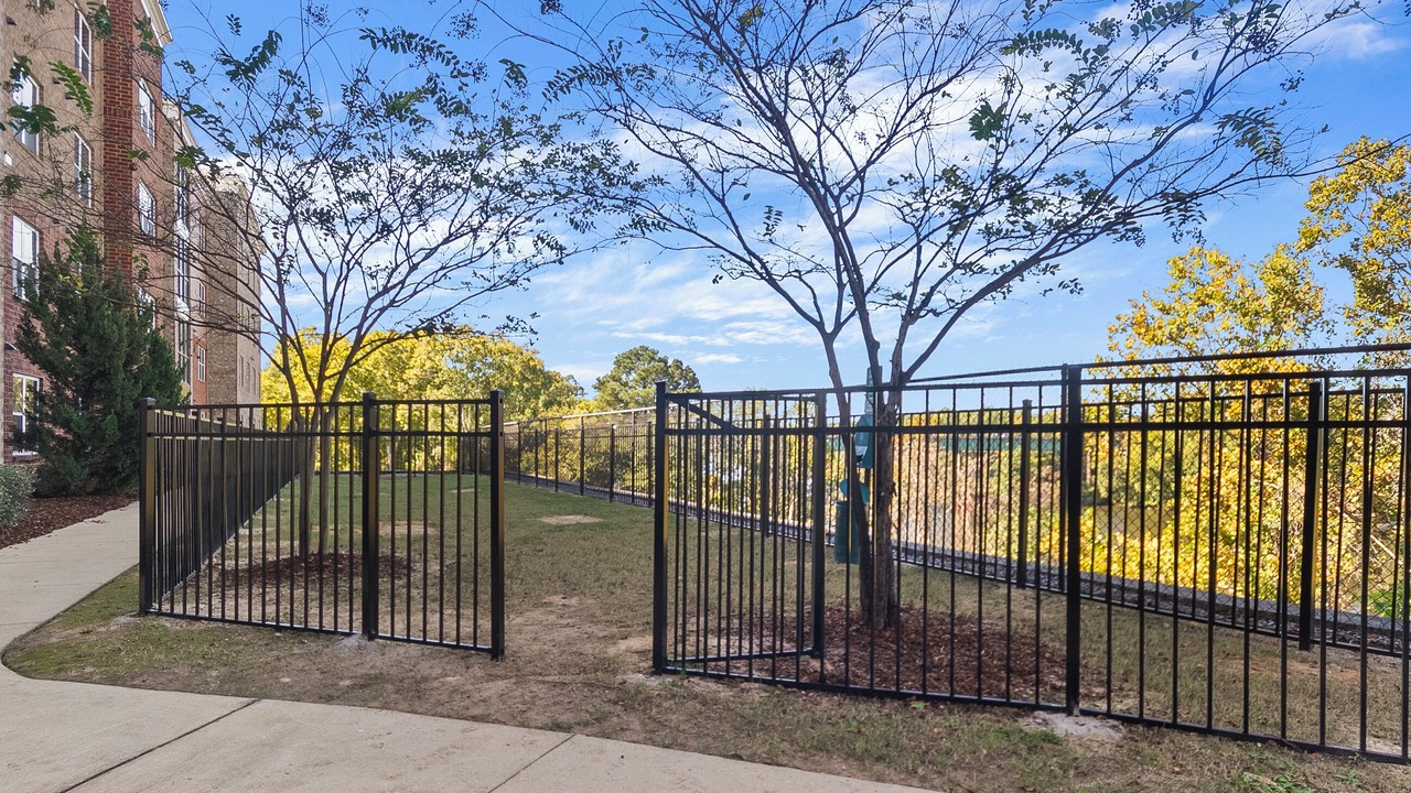 Photo of Outdoor in Tuscaloosa