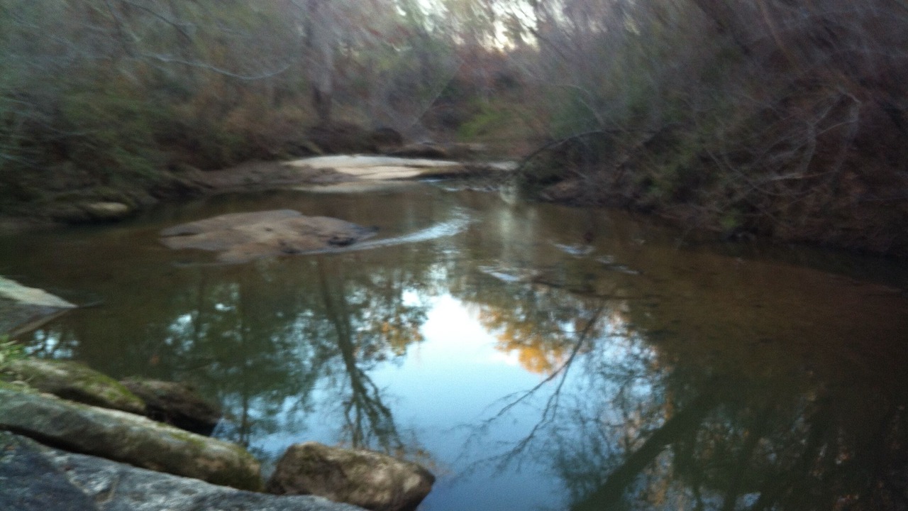 Photo of Others in Auburn
