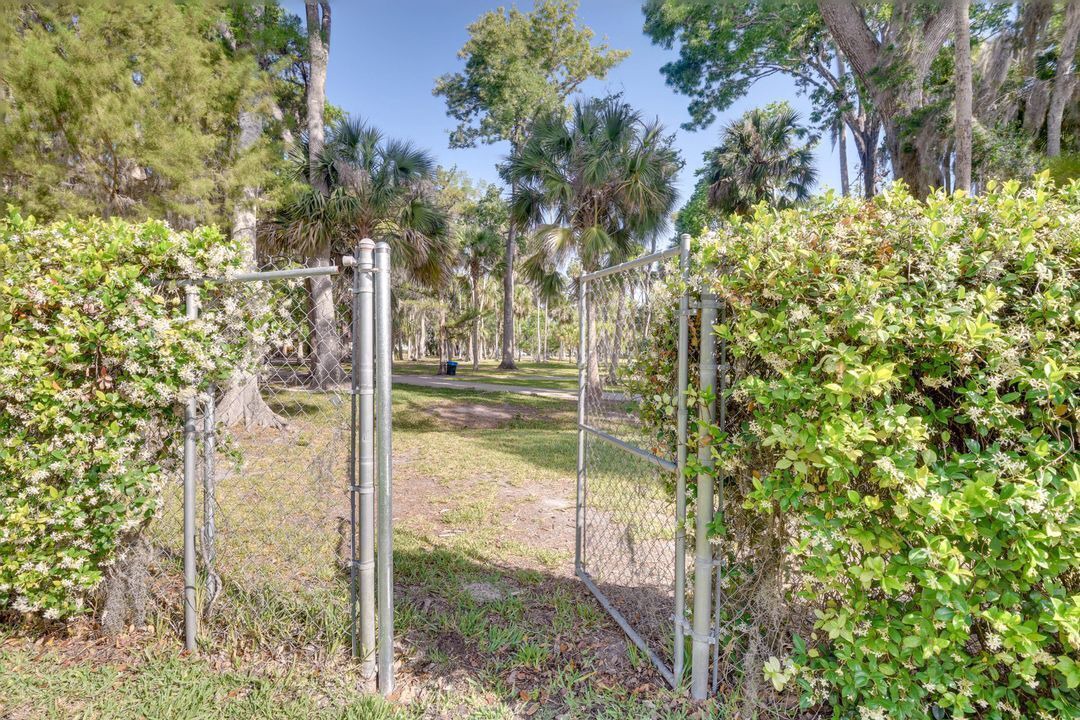 Photo of Outdoor in The Orchard