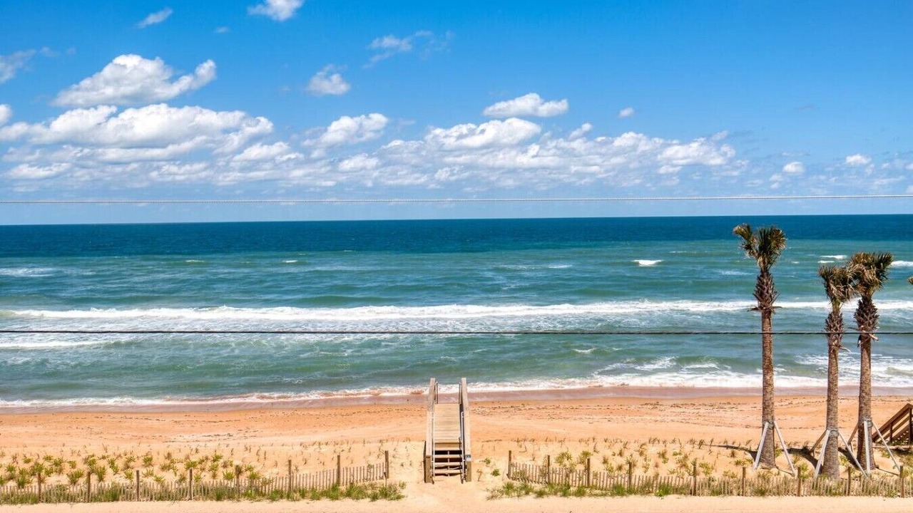 Photo of Others in Ormond-by-the-Sea