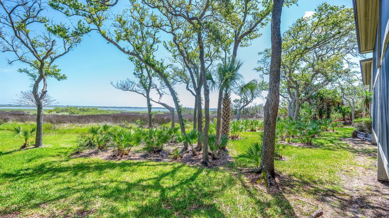 Photo of Outdoor in Saint Augustine Shores