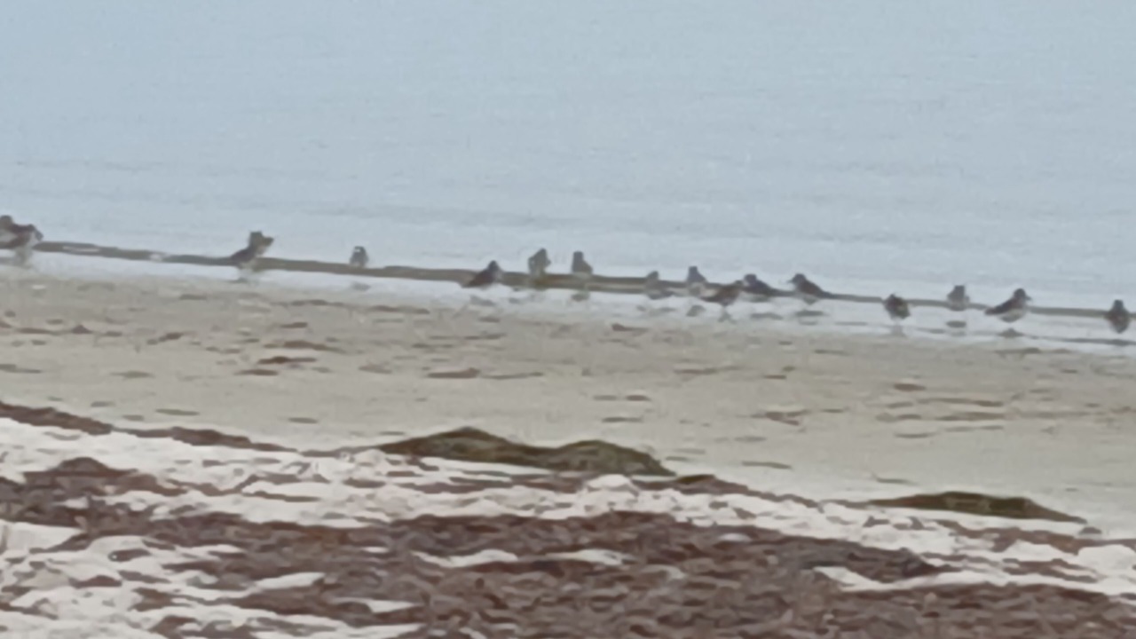 Photo of Others in Salem