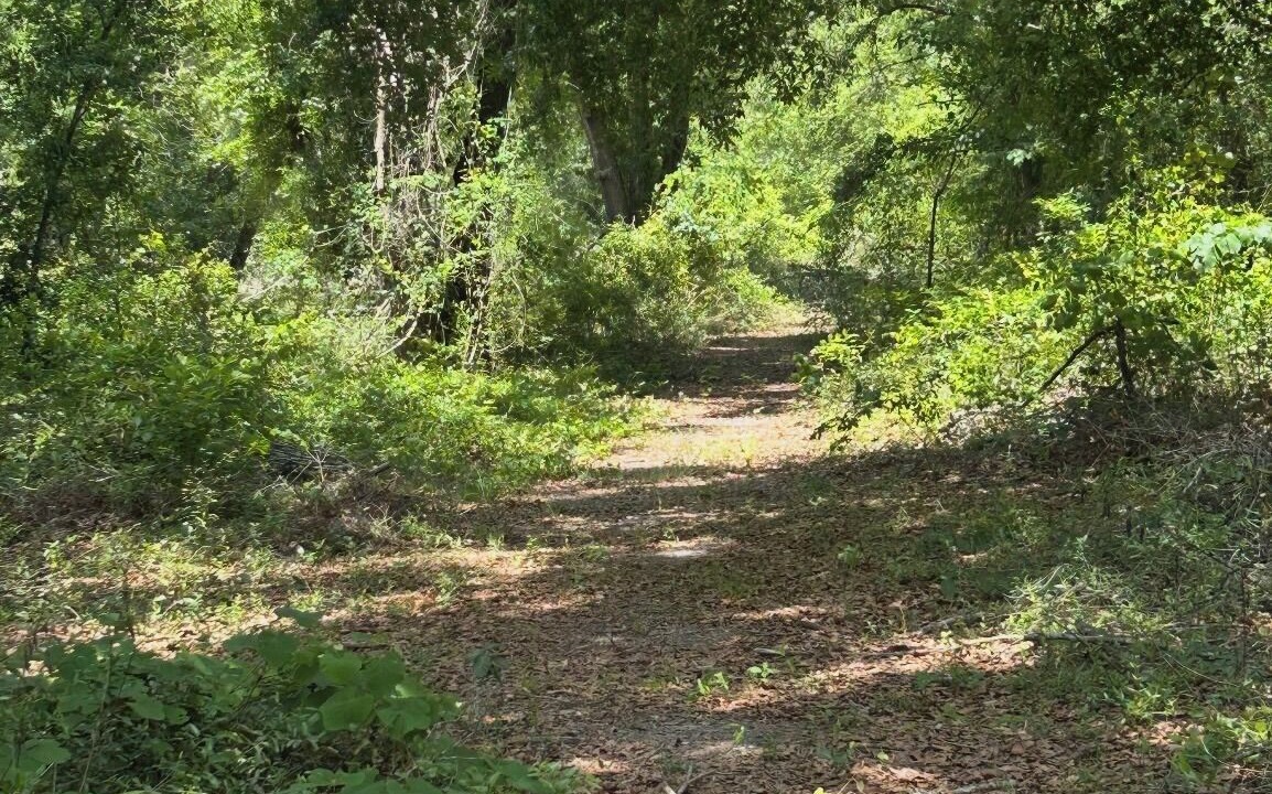 Photo of Others in Dowling Park