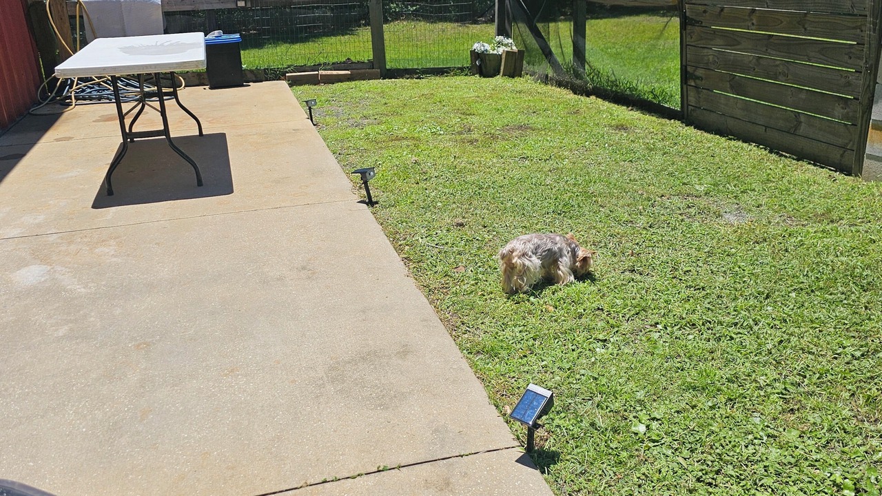 Photo of Outdoor in Charlton County