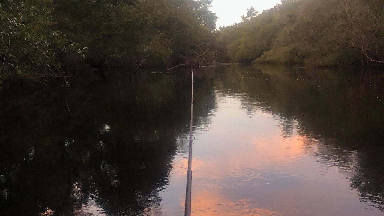 Photo of Others in Charlton County