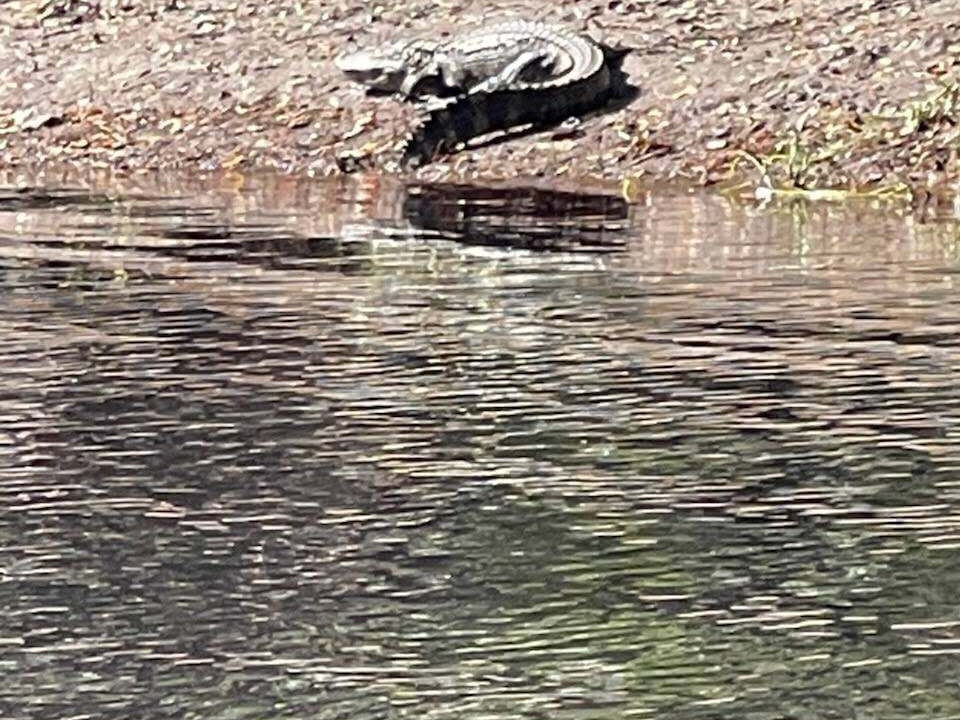 Photo of Others in Charlton County