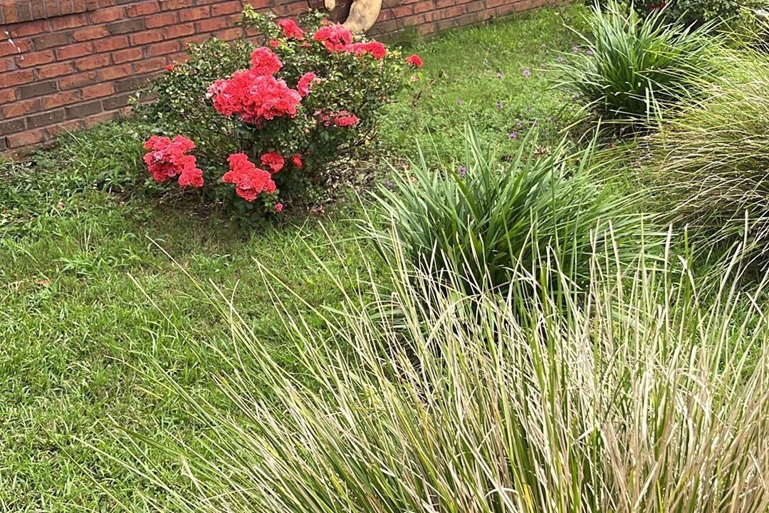 Photo of Outdoor in Midland City