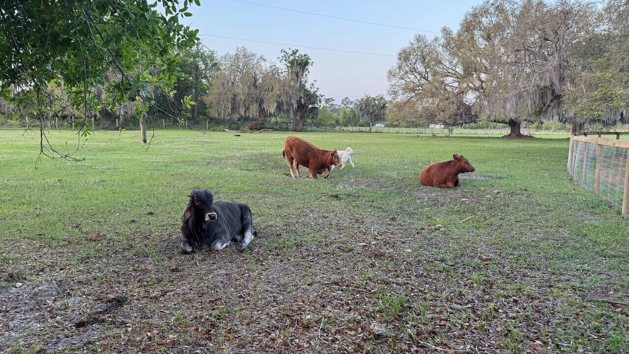 Photo of Others in Eustis