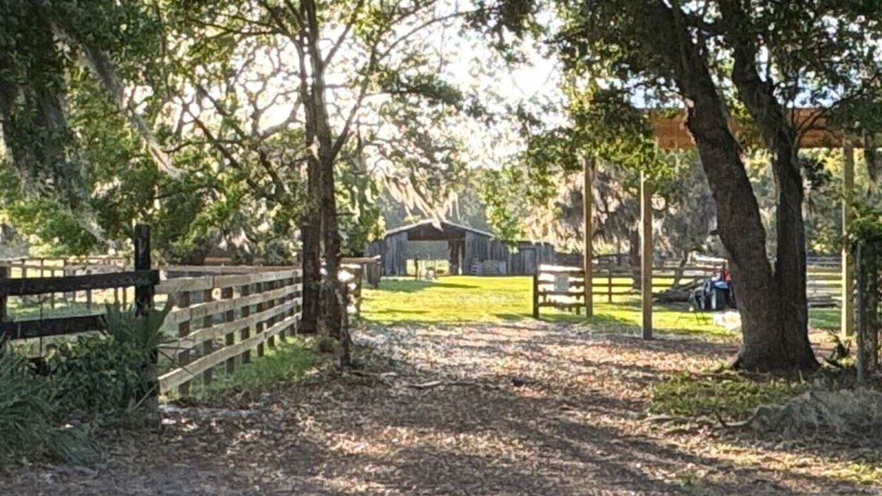 Photo of Others in Eustis