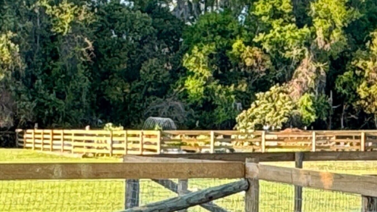 Photo of Outdoor in Eustis