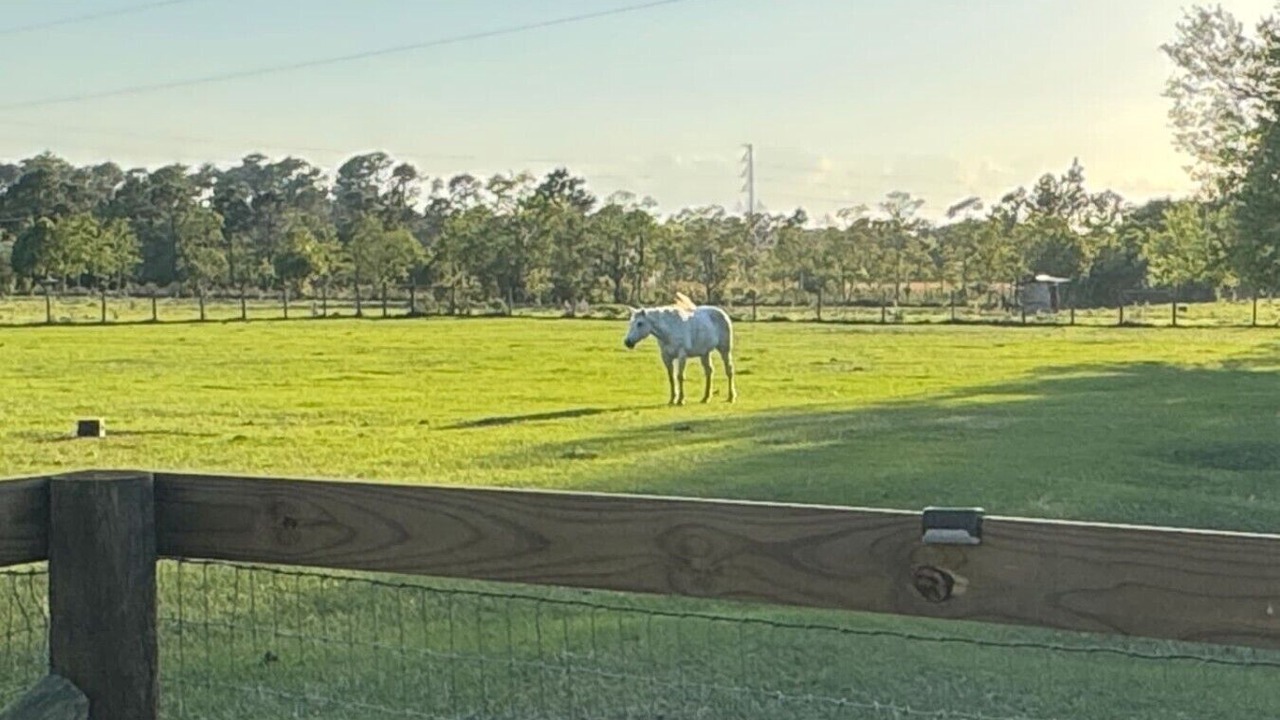 Photo of Others in Eustis