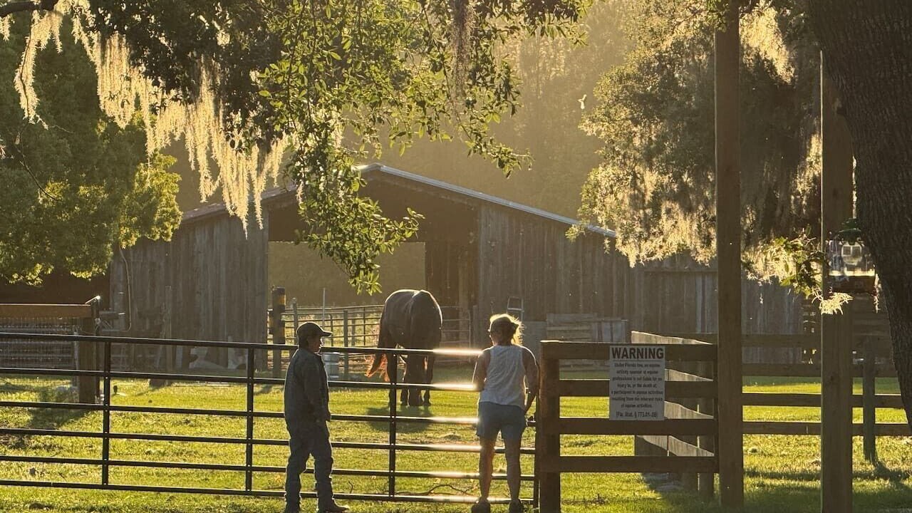 Photo of Others in Eustis