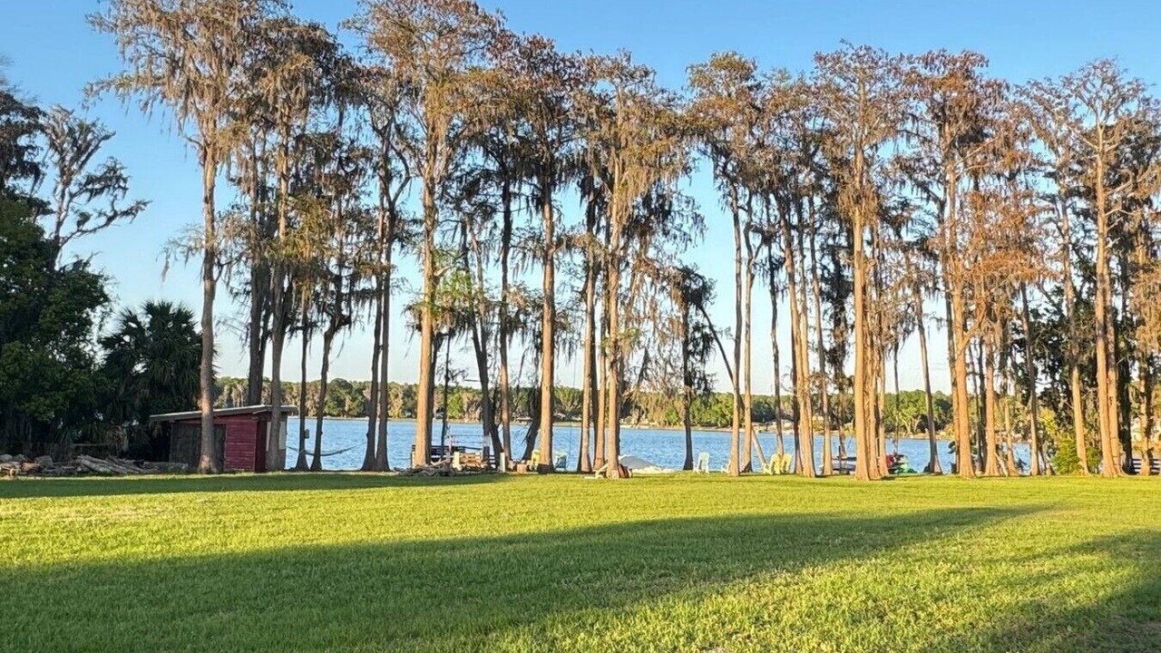 Photo of Others in Eustis