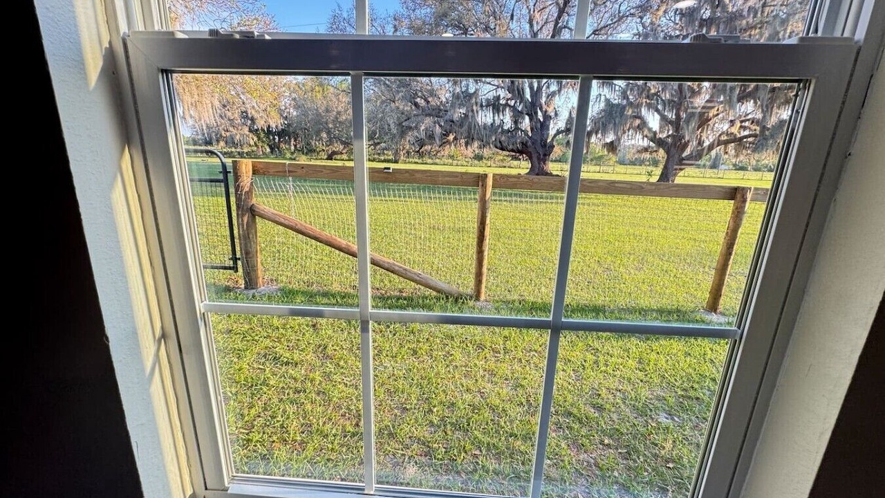 Photo of Others in Eustis