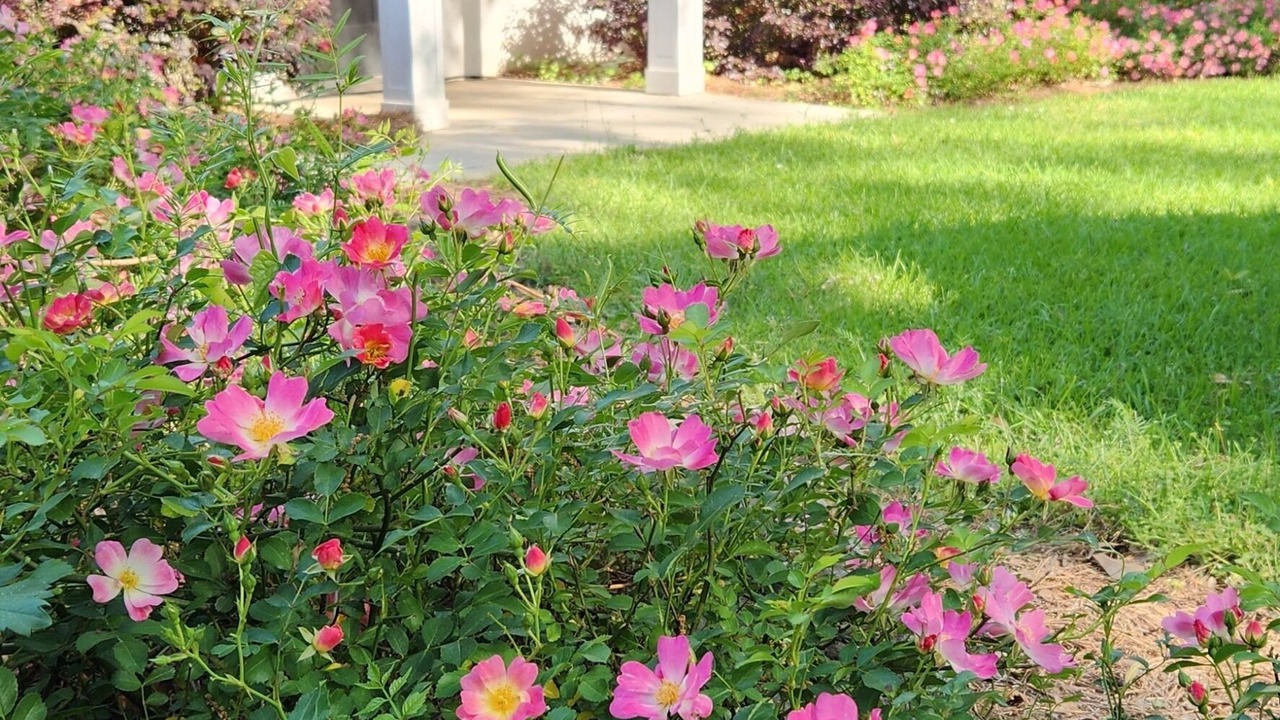 Photo of Outdoor in Washington