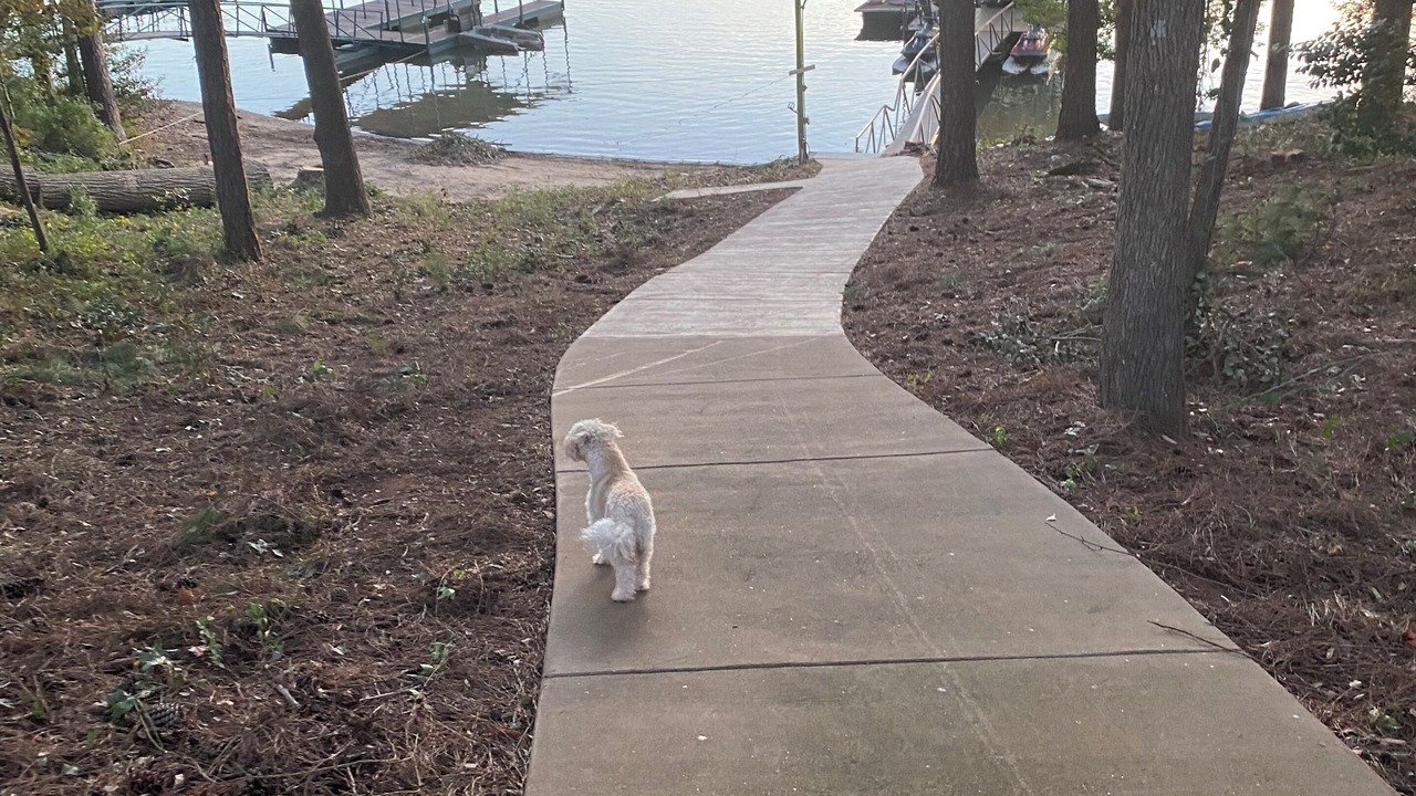 Photo of Outdoor in Townville