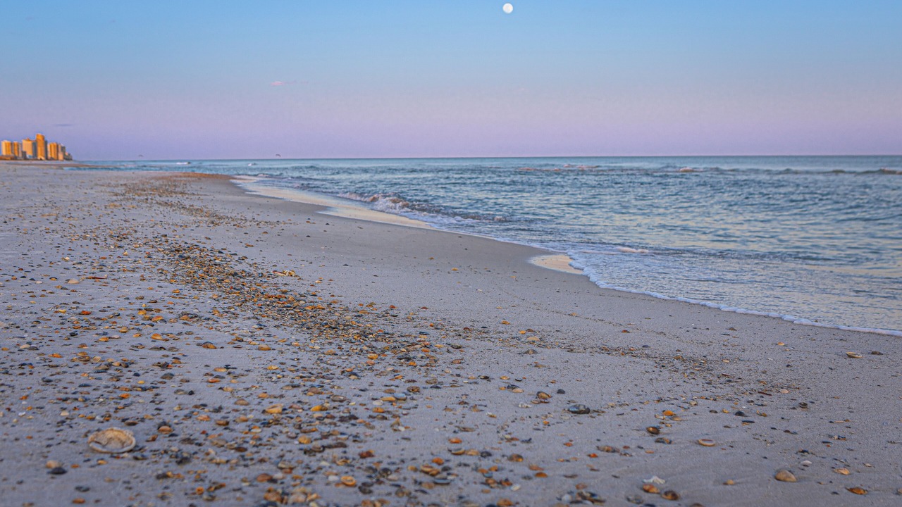 Photo of Others in Perdido Key Coves One