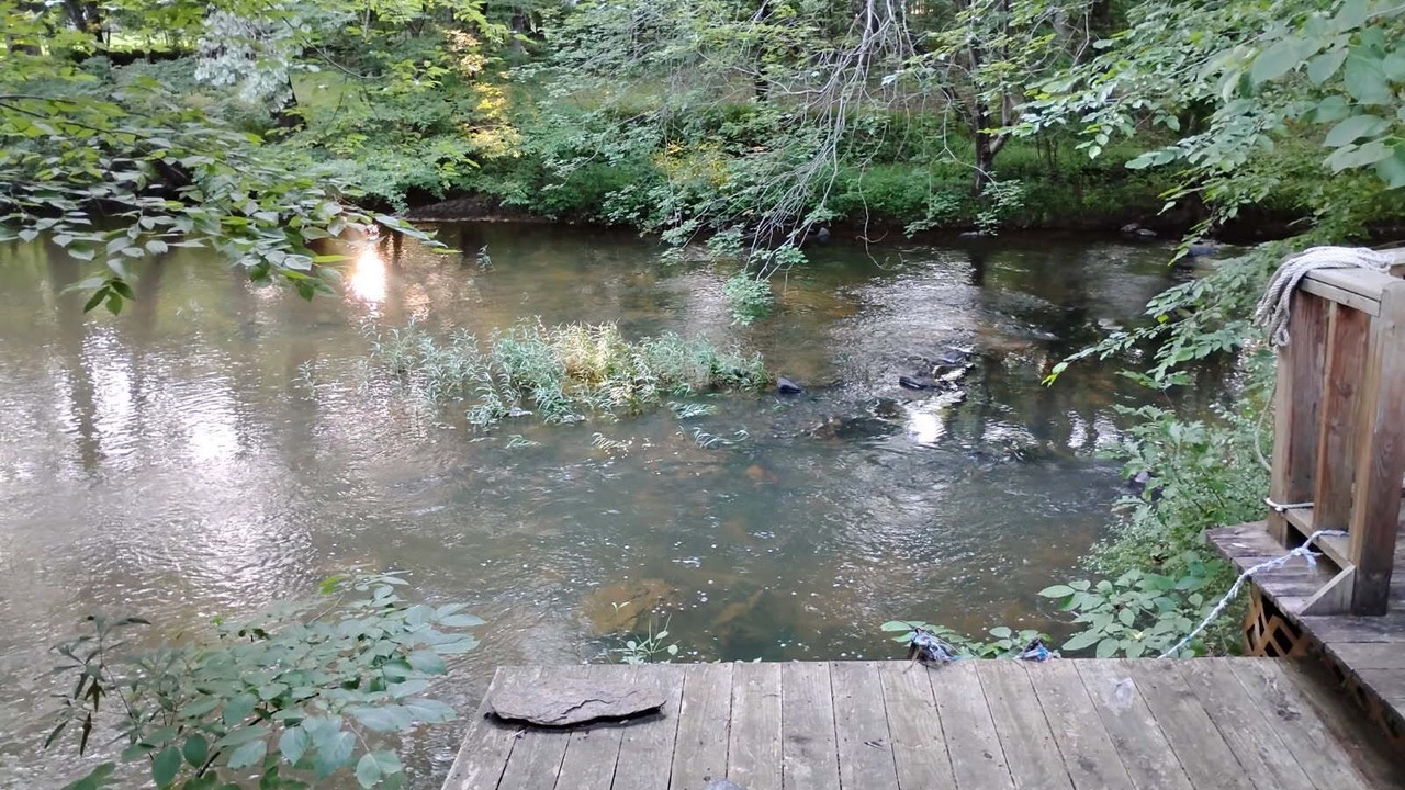Photo of Outdoor in Piedmont