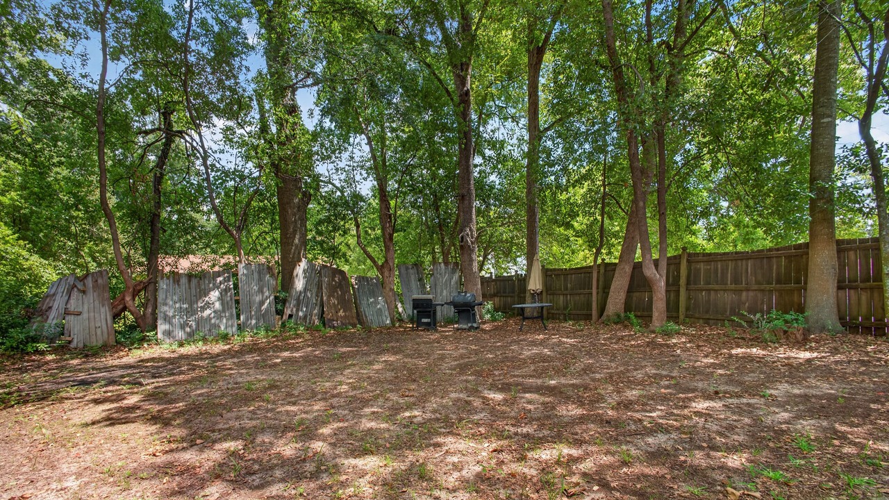 Photo of Outdoor in Tallahassee