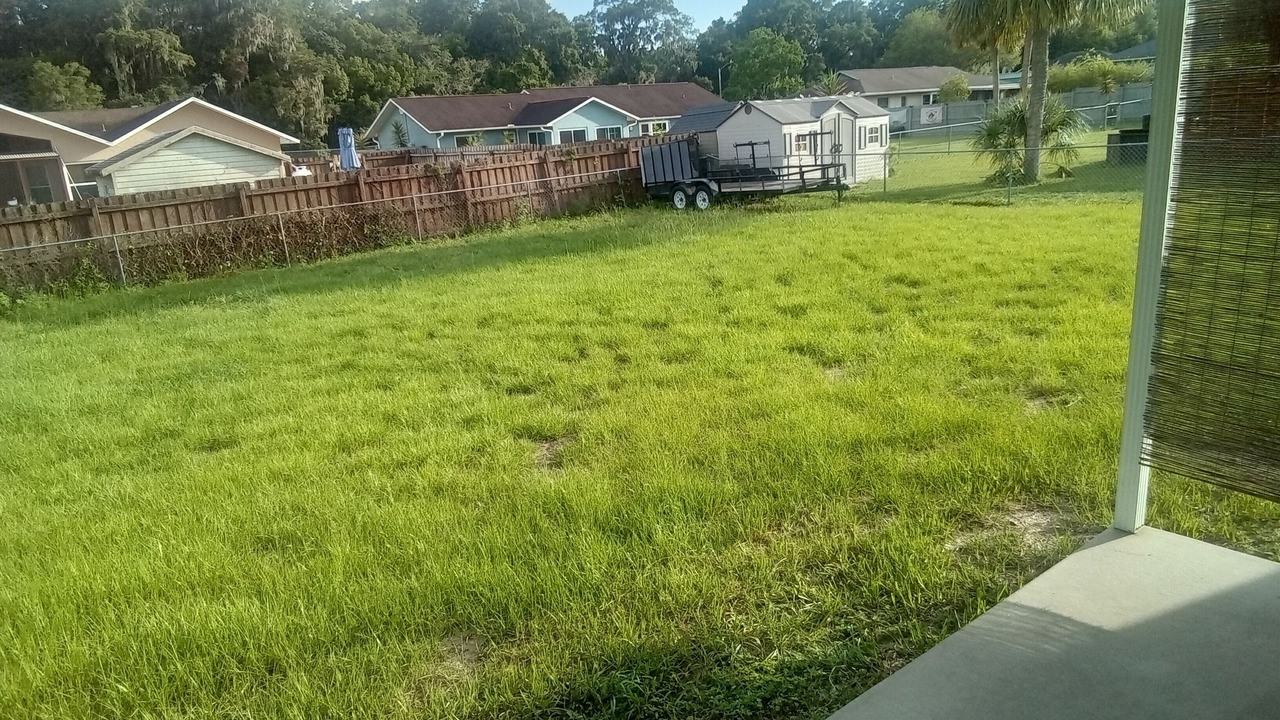 Photo of Outdoor in Candler
