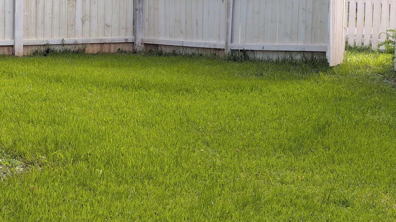 Photo of Outdoor in Cantonment