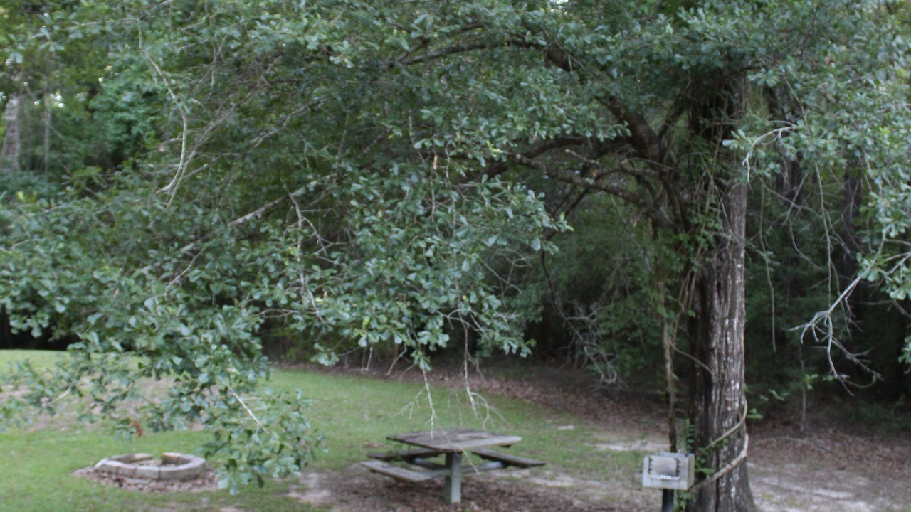 Photo of Outdoor in Saucier