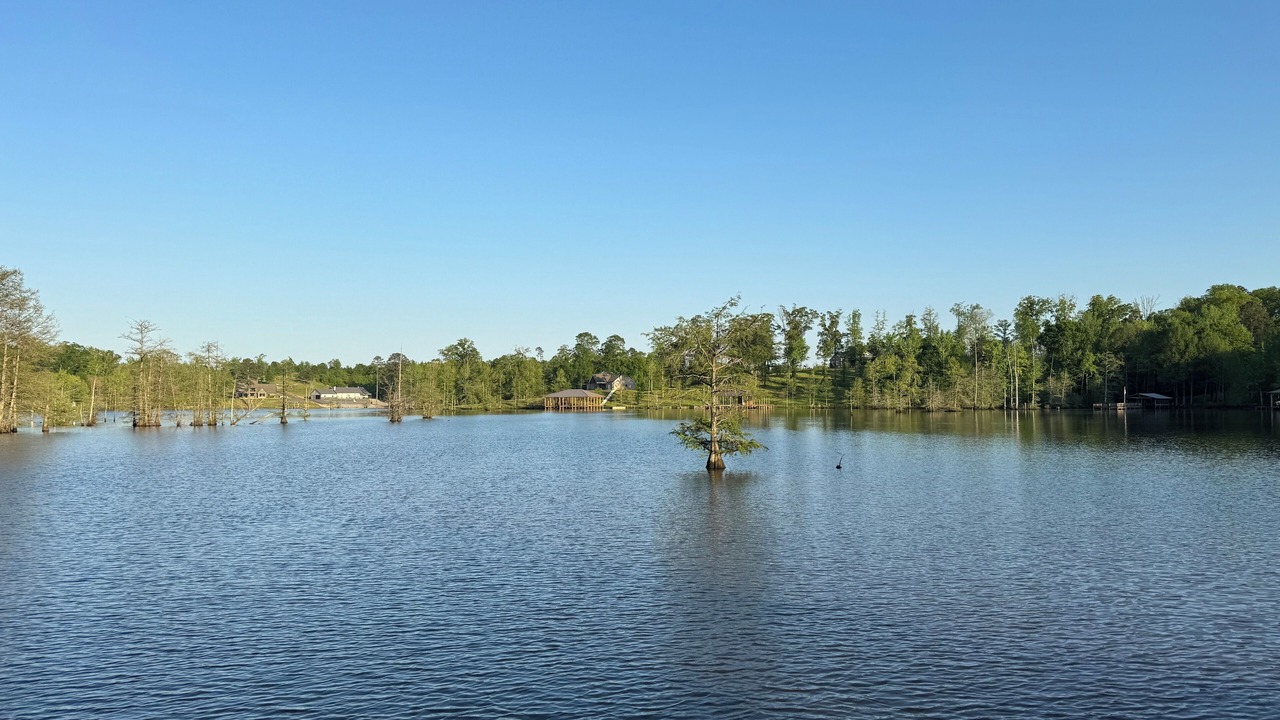 Photo of Outdoor in Downsville