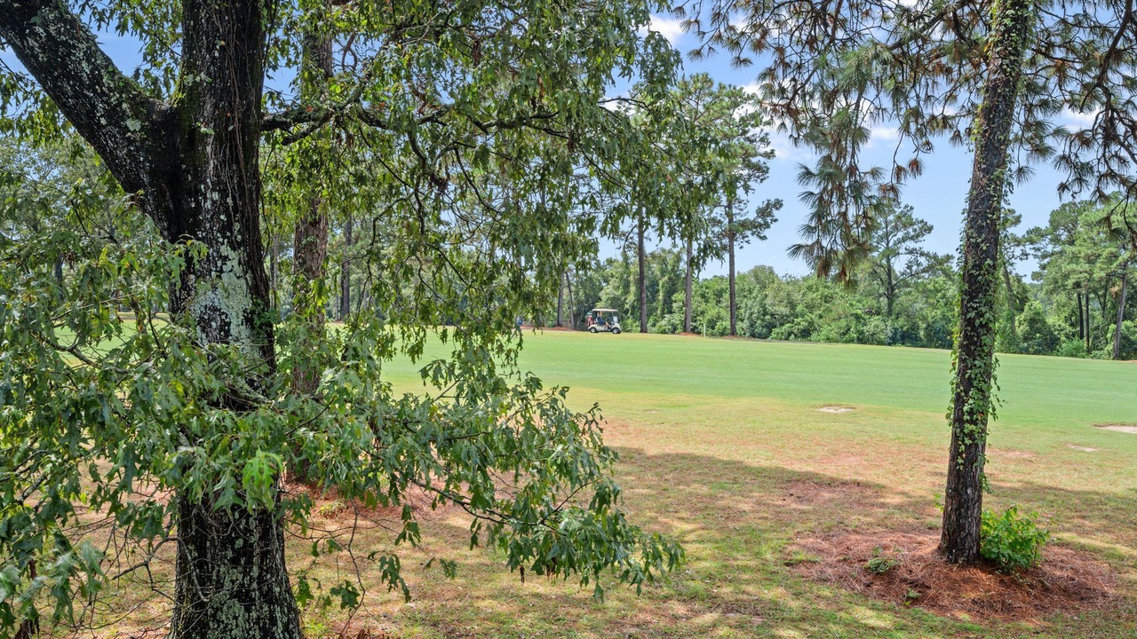 Photo of Others in Daphne