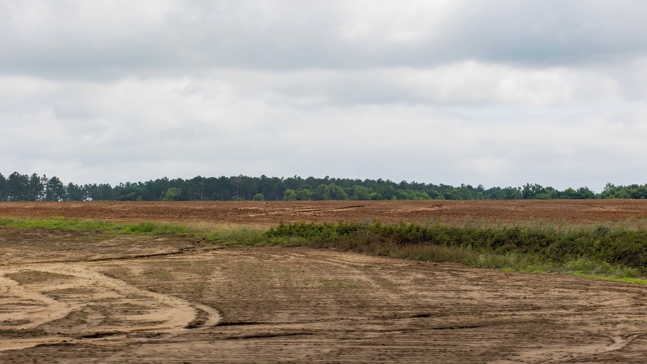 Photo of Outdoor in Blakely