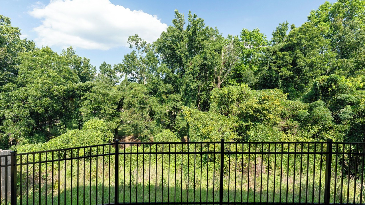 Photo of Outdoor in Auburn