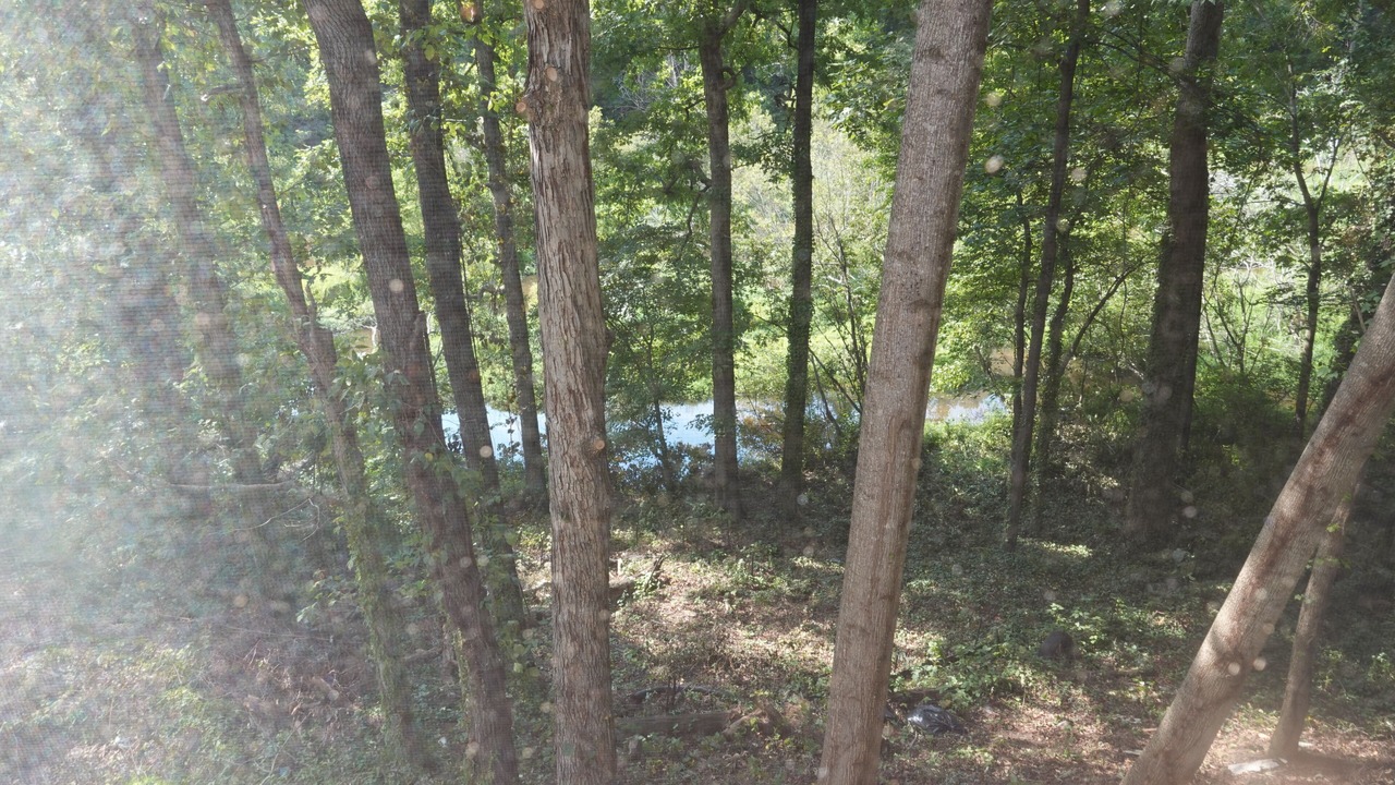 Photo of Outdoor in Austell